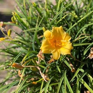 Meet your Posher, Nathan